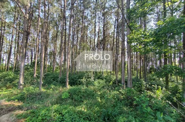 TERRENO URBANO 45.988M²
