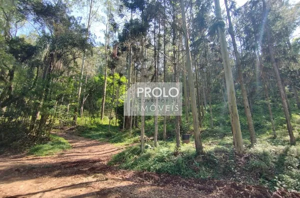 CHÁCARA/SÍTIO DE 90.000M²