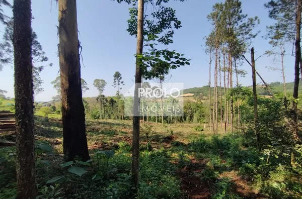 CHÁCARA/SÍTIO DE 90.000M²