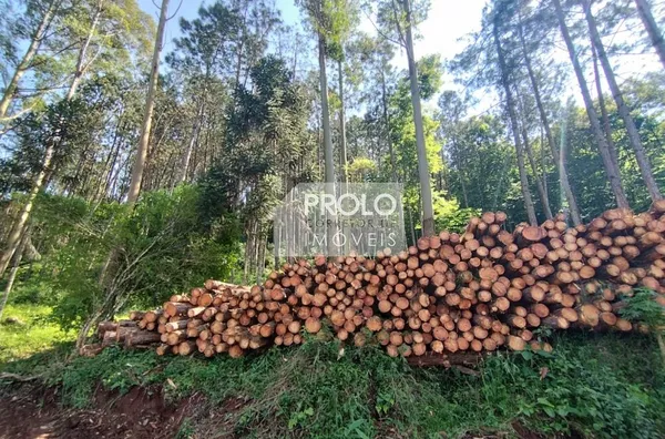 CHÁCARA/SÍTIO DE 90.000M²