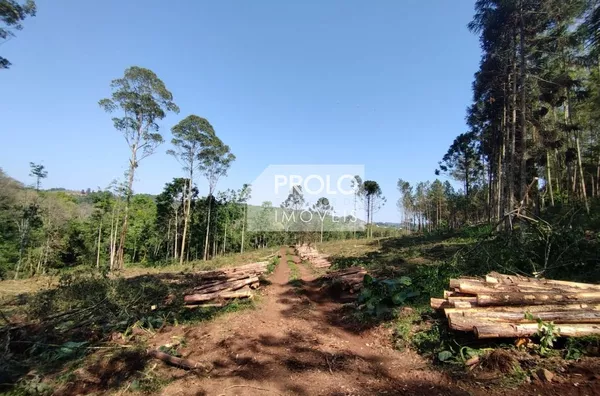 CHÁCARA/SÍTIO DE 90.000M²