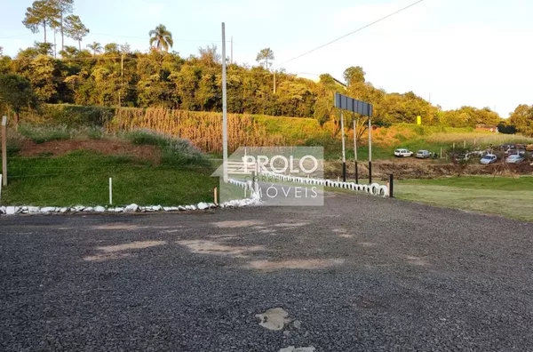 TERRENO COM 10.000m², NA ÁGUA BRANCA, A 50m DA RODOVIA.
