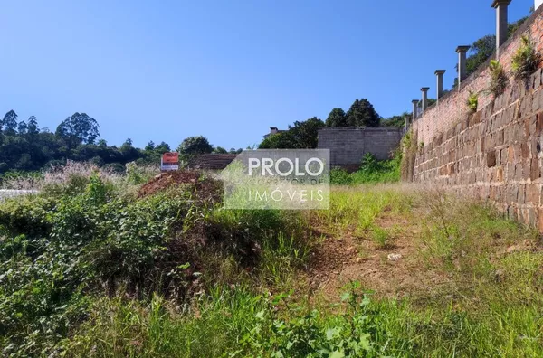 LOTE NO PINHEIRINHO, EXCELENTE VISÃO NO BAIRRO.