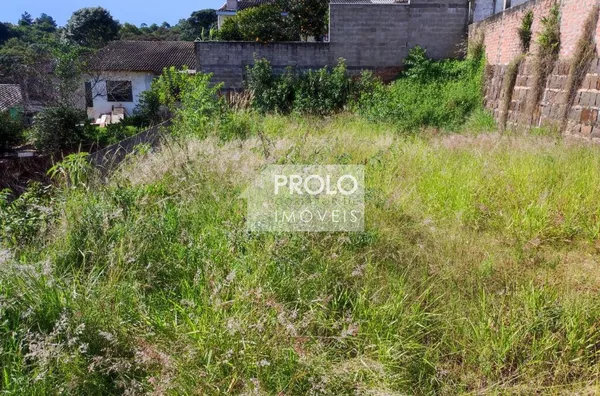 LOTE NO PINHEIRINHO, EXCELENTE VISÃO NO BAIRRO.