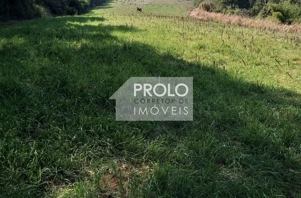 CHÁCARA/SÍTIO DE 3,5 ALQUEIRES COM ÓTIMA ESTRUTURA, PRÓXIMO DA CIDADE.