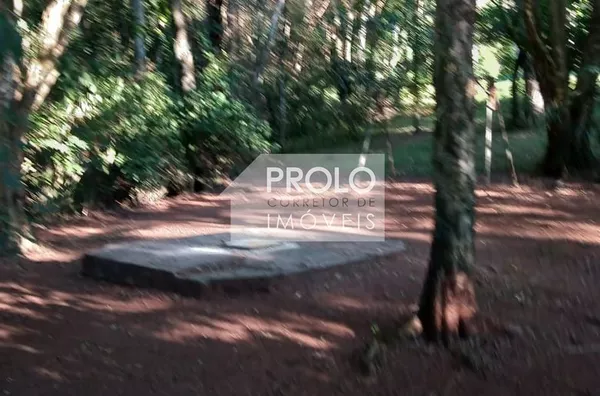 CHÁCARA/SÍTIO DE 3,5 ALQUEIRES COM ÓTIMA ESTRUTURA, PRÓXIMO DA CIDADE.
