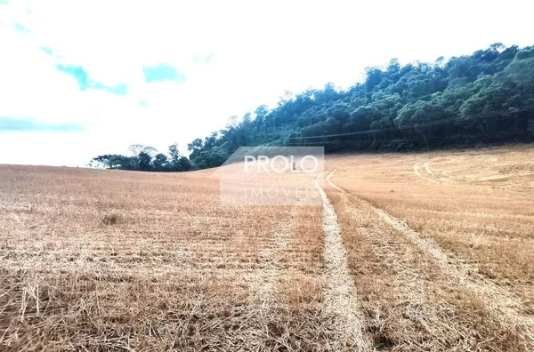 CHÁCARA - TERRENO URBANO DE 30.000 M2.