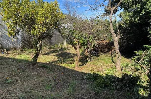 LOTE URBANO COM CASA DE MADEIRA ANTIGA, NO BAIRRO VILA NOVA - Foto 1