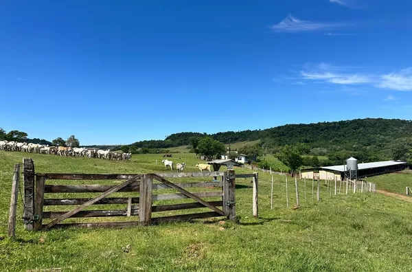 LINDA FAZENDA EM REALEZA