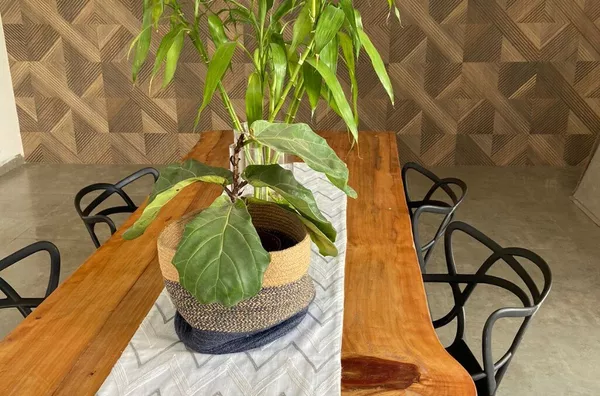 CASA DE ALVENARIA COM 01 SUÍTE + 02 QUARTOS - Foto 6