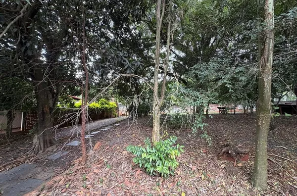 OPORTUNIDADE! TERRENO DE ESQUINA NA RUA CURITIBA - Foto 4