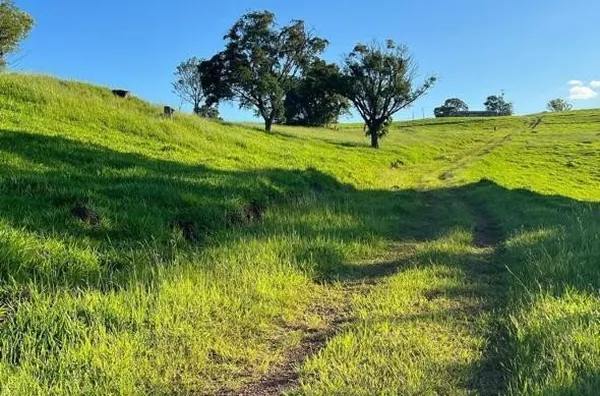 FAZENDA EM REALEZA COM 38 ALQUEIRES