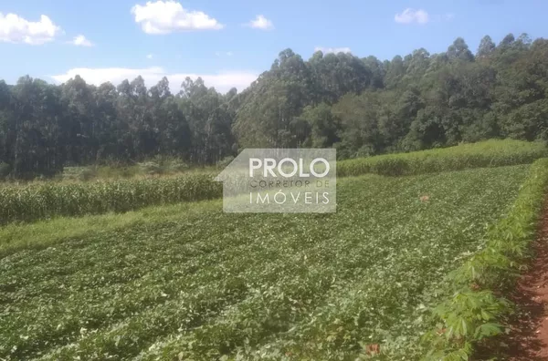 CHÁCARA - LINDA ÁREA RURAL! 4,5 ALQUEIRES, 1 ALQUEIRE MECANIZADO, COM NASCENTE DE ÁGUA