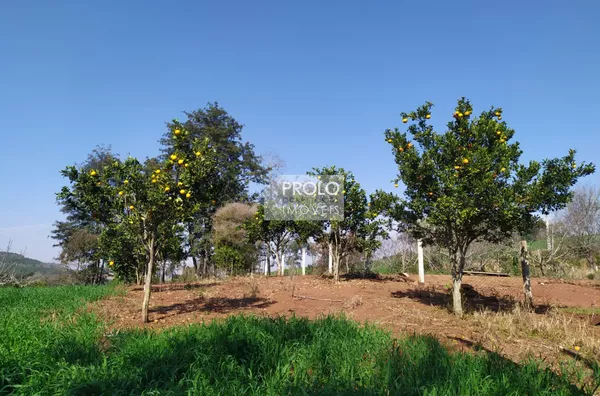 (VENDIDO) CHÁCARA NA COMUNIDADE BARRA GRANDE