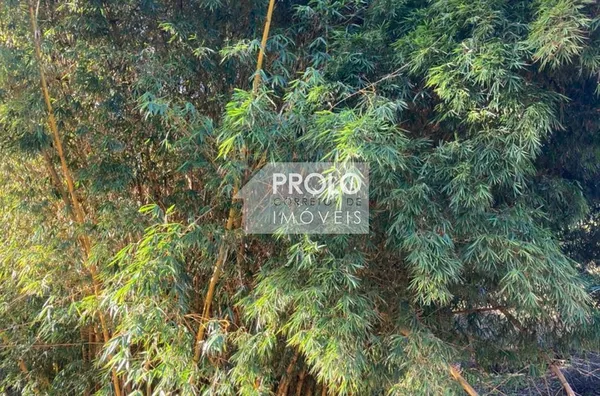 (VENDIDO) SÍTIO COM 9 ALQUEIRES, PRÓXIMO AO ASFALTO.