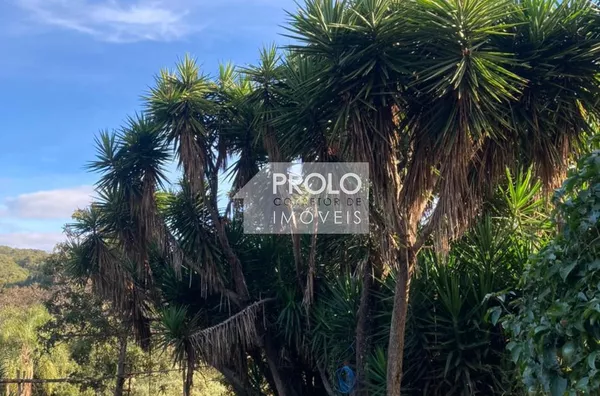 (VENDIDO) SÍTIO COM 9 ALQUEIRES, PRÓXIMO AO ASFALTO.