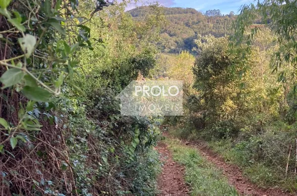 (VENDIDO) SÍTIO COM 9 ALQUEIRES, PRÓXIMO AO ASFALTO.