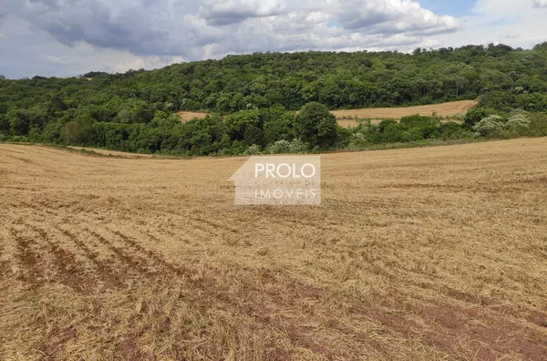 CHÁCARA/SÍTIO 20 ALQUEIRES  - LAVOURA 13 ALQUEIRES MECANIZADOS
