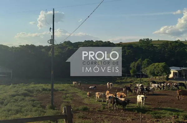 CHÁCARA/SÍTIO DE 2,31 ALQUEIRES NA LINHA SÃO ROQUE
