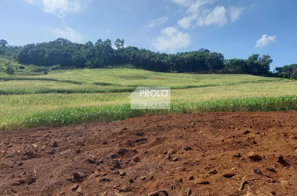 CHÁCARA/SÍTIO TODO MECANIZADO EM FRANCISCO BELTRÃO.