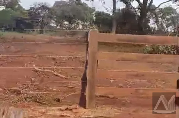 Sítio para venda 27,5 Hectares  , Nioaque- Colônia Conceição - Foto 4