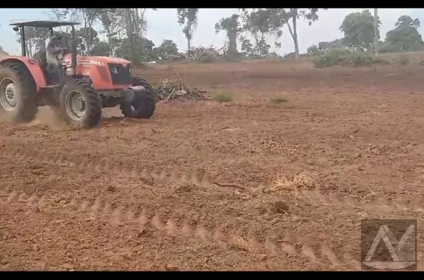 Sítio para venda 27,5 Hectares  , Nioaque- Colônia Conceição - Foto 3