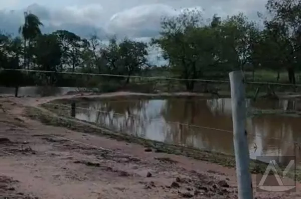 Sítio para venda 27,5 Hectares  , Nioaque- Colônia Conceição - Foto 5