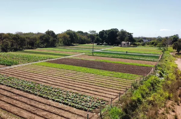 Venda – Área Rural no Capão Grande (Várzea Grande)
