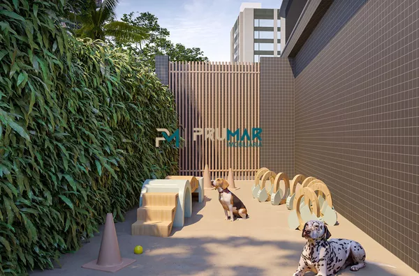 Pet place