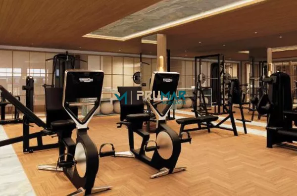 153 fitness