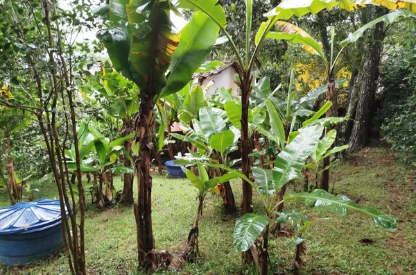 Chácara para venda,  água Azul, Guarulhos