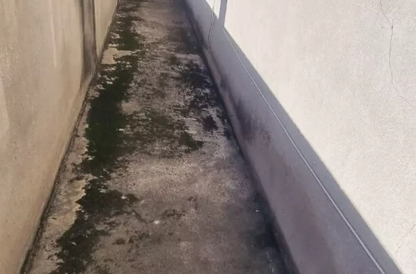Dorms para venda