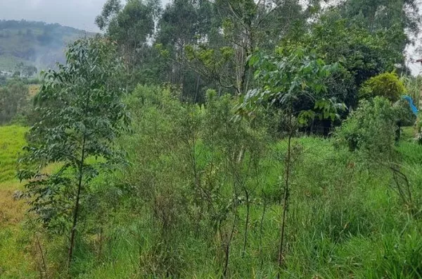 Terreno para venda,  Cuiaba, Nazaré Paulista