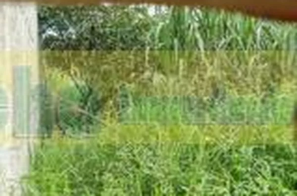 Terreno para venda