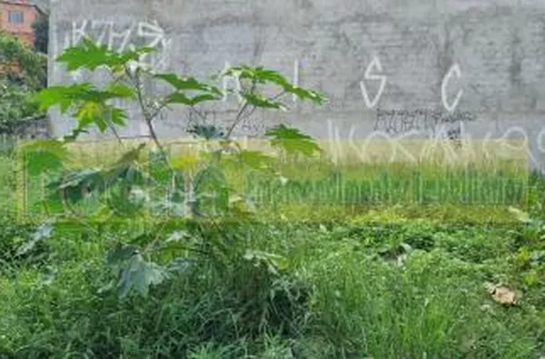 Terreno para venda
