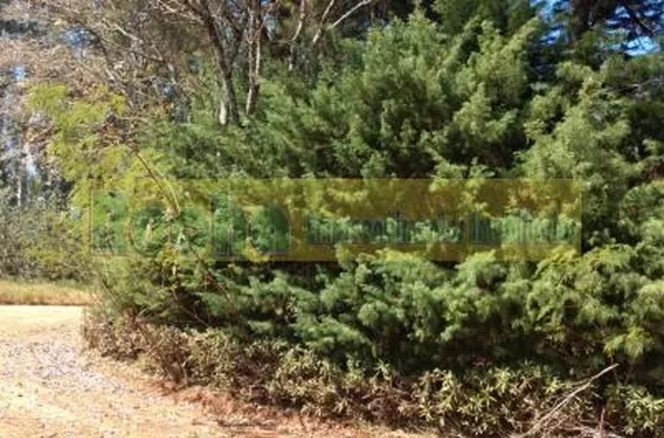 Terreno para venda