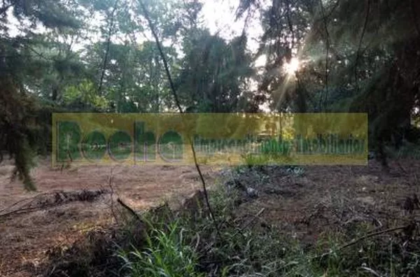 Terreno para venda