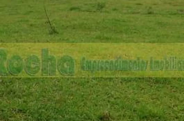 Terreno para venda