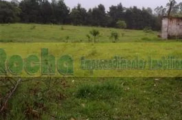 Terreno para venda