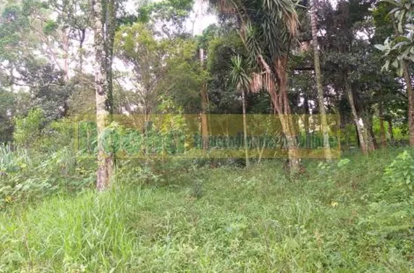 Terreno para venda