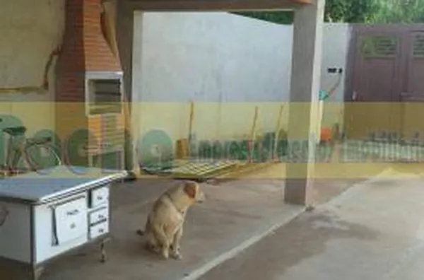 DORMITÓRIOS para venda