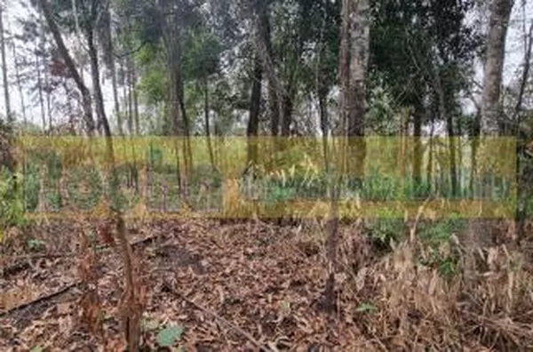 Terreno para venda