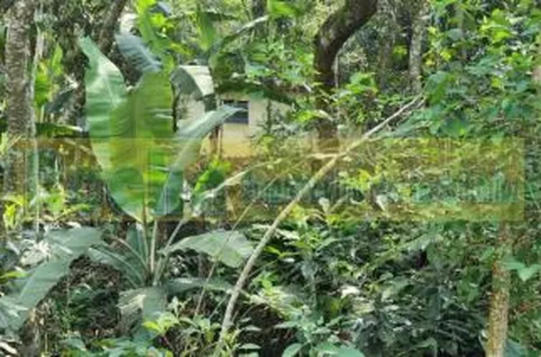 Terreno para venda