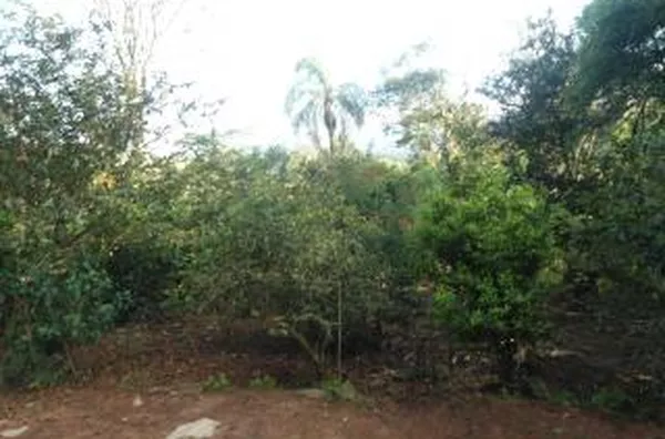Chácara para venda
