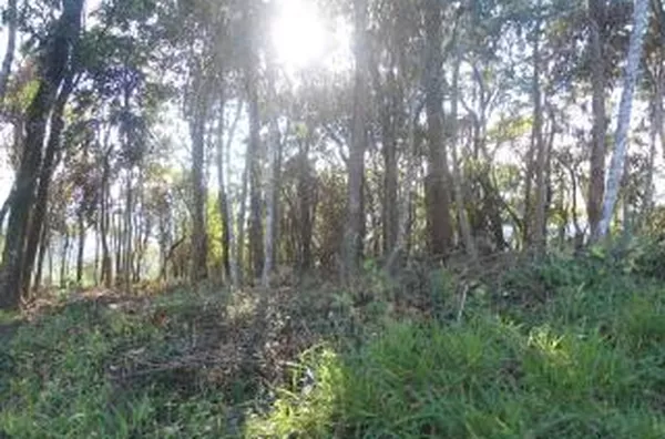 Chácara para venda