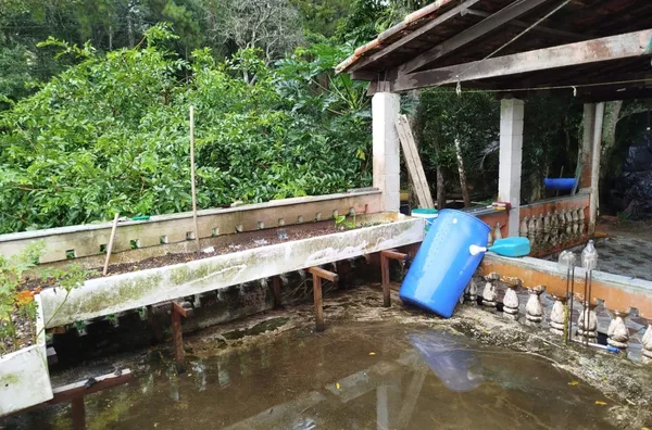 Chácara para venda,  água Azul, Guarulhos - Foto 17