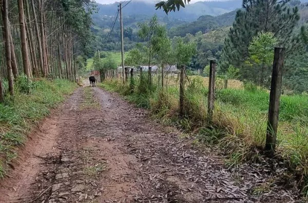 Terreno para venda,  Cuiaba, Nazaré Paulista