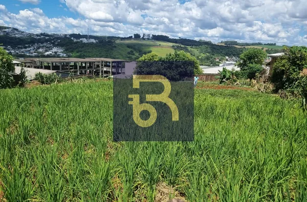 Terreno para venda,  Santa Terezinha, Pato Branco - Foto 2