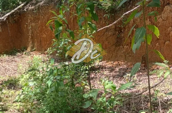 Terreno próprio para Rancho - Miracatu, São Paulo