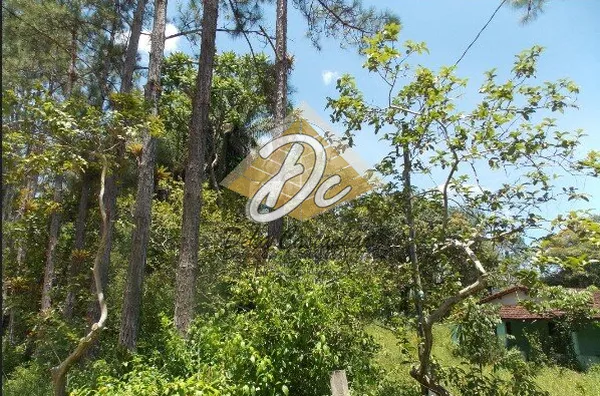 Sítio - Juquiá, São Paulo
